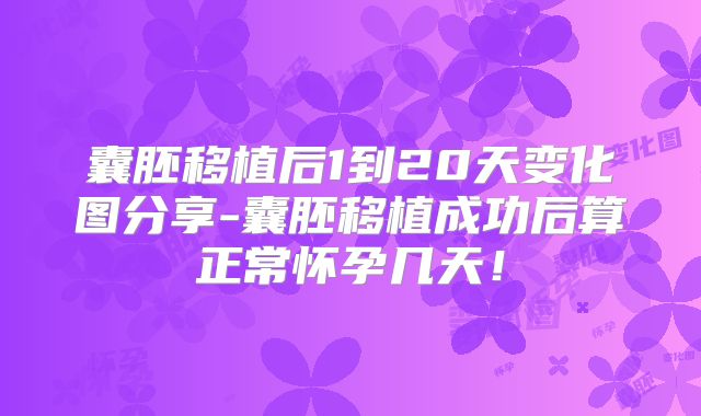囊胚移植后1到20天变化图分享-囊胚移植成功后算正常怀孕几天！
