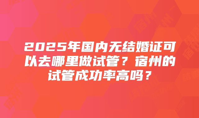 2025年国内无结婚证可以去哪里做试管？宿州的试管成功率高吗？