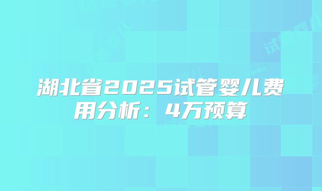 湖北省2025试管婴儿费用分析:4万预算