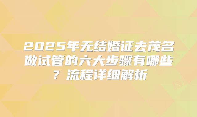 2025年无结婚证去茂名做试管的六大步骤有哪些?流程详细解析