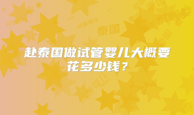赴泰国做试管婴儿大概要花多少钱？