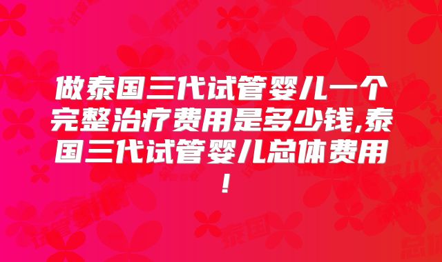 做泰国三代试管婴儿一个完整治疗费用是多少钱,泰国三代试管婴儿总体费用！
