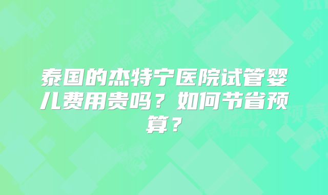 泰国的杰特宁医院试管婴儿费用贵吗？如何节省预算？
