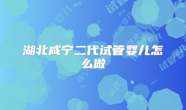 湖北咸宁二代试管婴儿怎么做