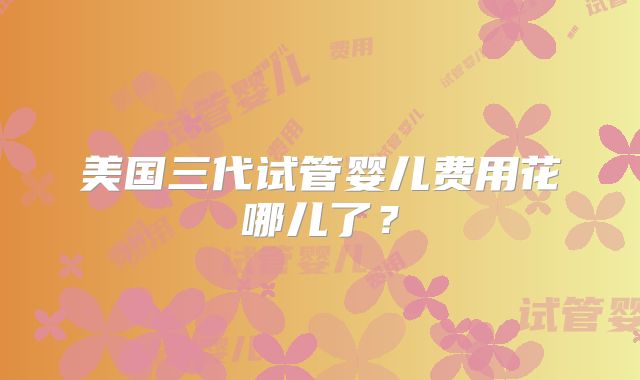 美国三代试管婴儿费用花哪儿了？