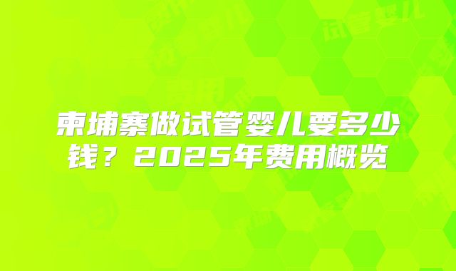 柬埔寨做试管婴儿要多少钱?2025年费用概览