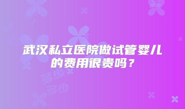 武汉私立医院做试管婴儿的费用很贵吗？