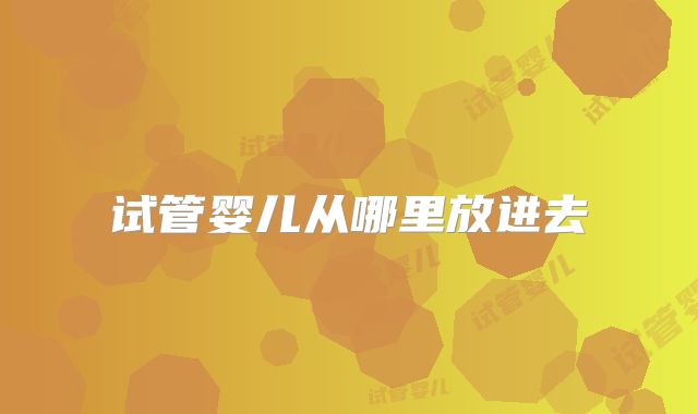 试管婴儿从哪里放进去