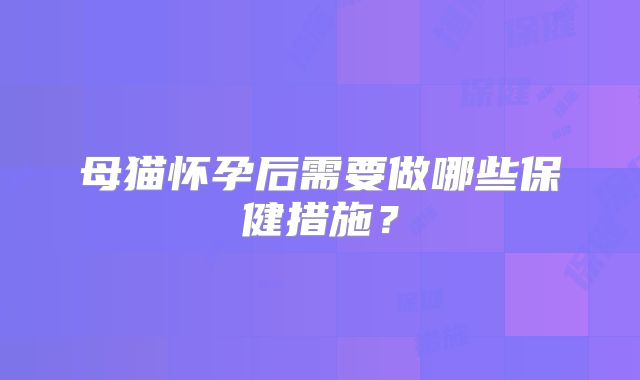 母猫怀孕后需要做哪些保健措施？