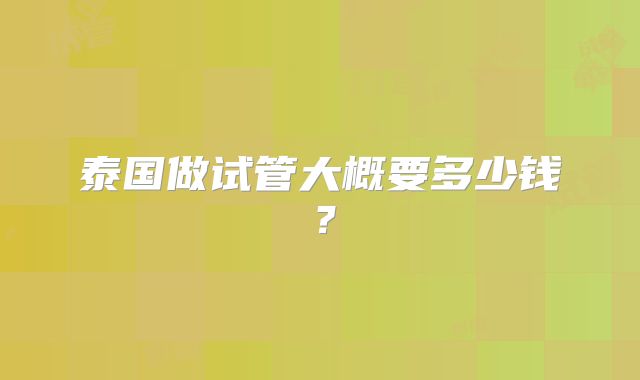 泰国做试管大概要多少钱？