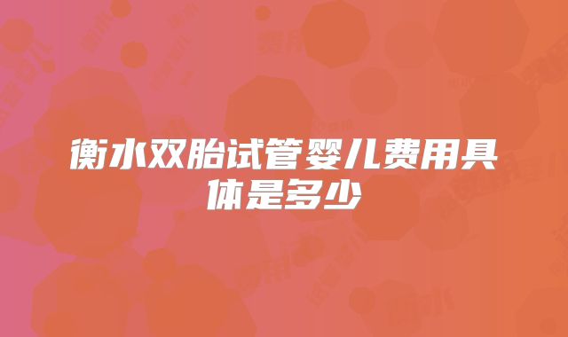 衡水双胎试管婴儿费用具体是多少