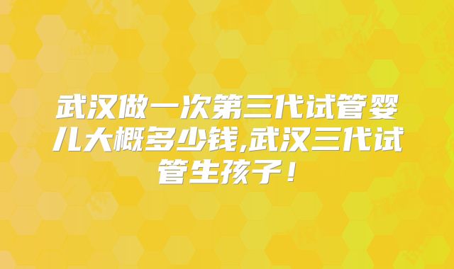 武汉做一次第三代试管婴儿大概多少钱,武汉三代试管生孩子！