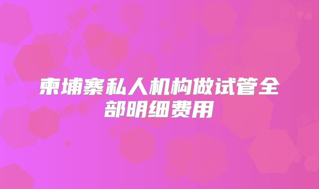 柬埔寨私人机构做试管全部明细费用
