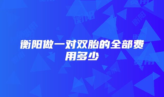 衡阳做一对双胎的全部费用多少