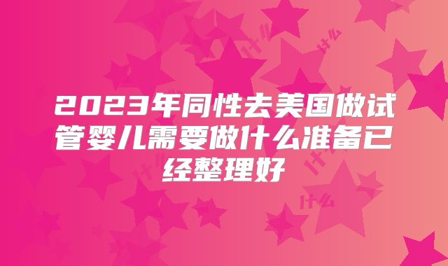 2023年同性去美国做试管婴儿需要做什么准备已经整理好