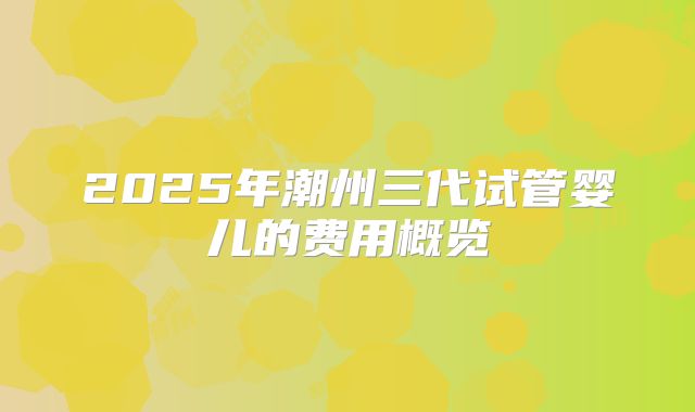 2025年潮州三代试管婴儿的费用概览