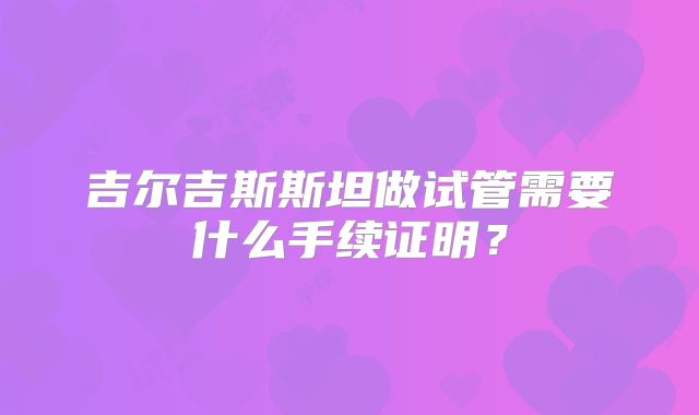 吉尔吉斯斯坦做试管需要什么手续证明？