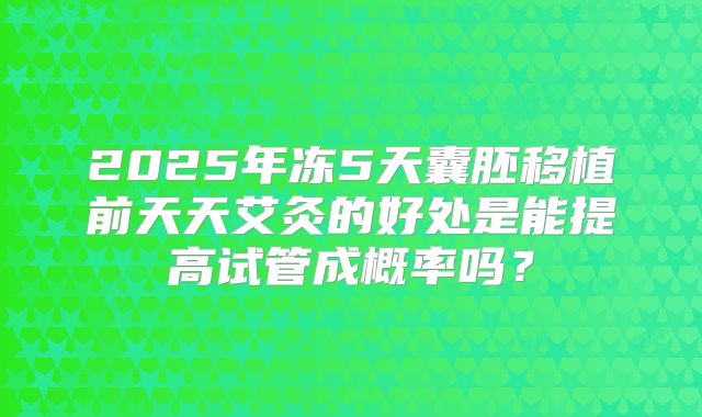 2025年冻5天囊胚移植前天天艾灸的好处是能提高试管成概率吗？