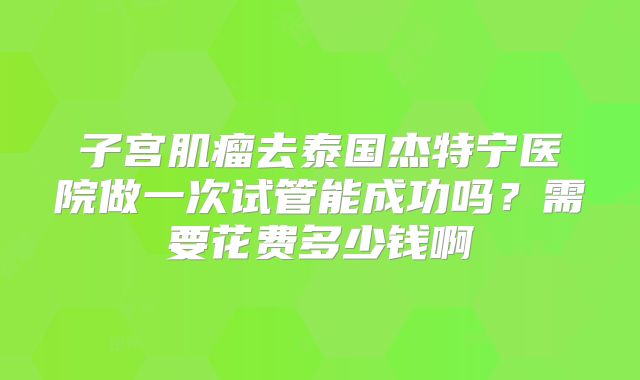 子宫肌瘤去泰国杰特宁医院做一次试管能成功吗？需要花费多少钱啊