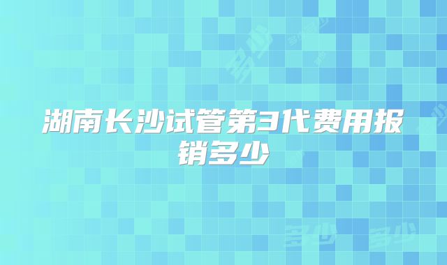 湖南长沙试管第3代费用报销多少