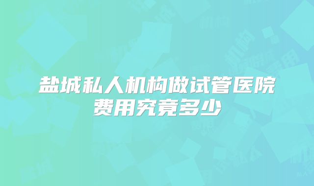 盐城私人机构做试管医院费用究竟多少