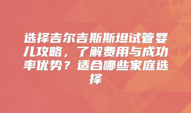 选择吉尔吉斯斯坦试管婴儿攻略，了解费用与成功率优势？适合哪些家庭选择