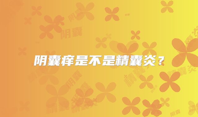 阴囊痒是不是精囊炎？