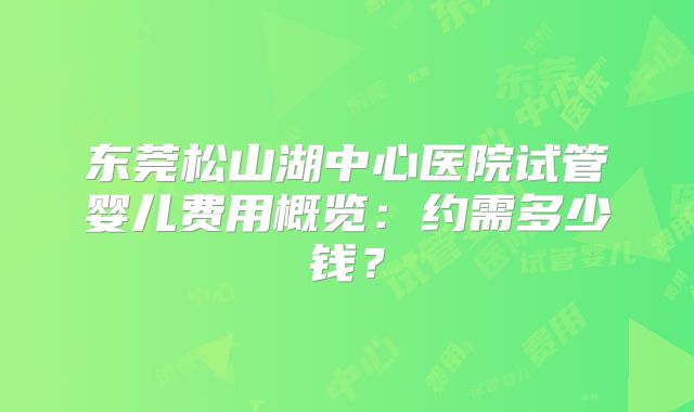 东莞松山湖中心医院试管婴儿费用概览:约需多少钱?