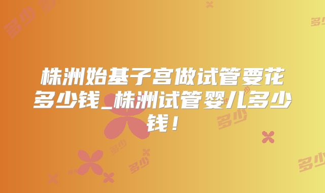 株洲始基子宫做试管要花多少钱_株洲试管婴儿多少钱！