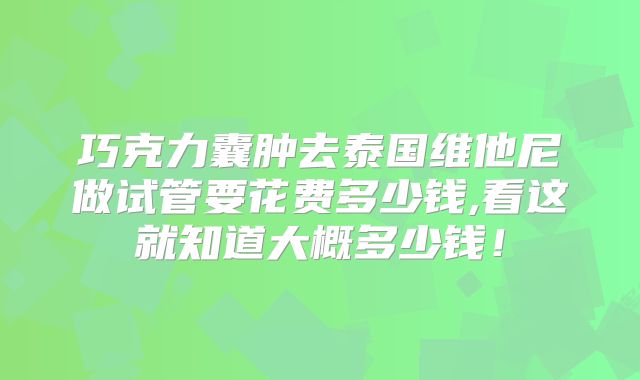 巧克力囊肿去泰国维他尼做试管要花费多少钱,看这就知道大概多少钱！