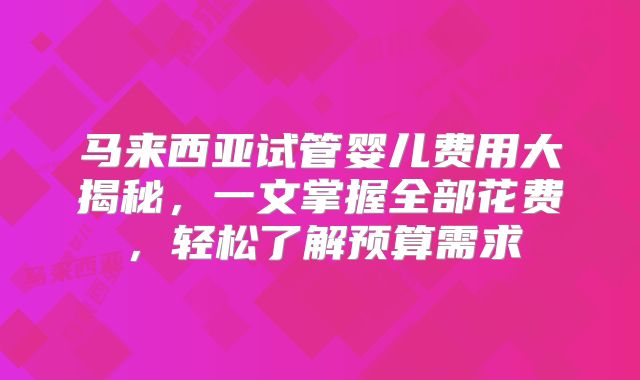马来西亚试管婴儿费用大揭秘，一文掌握全部花费，轻松了解预算需求