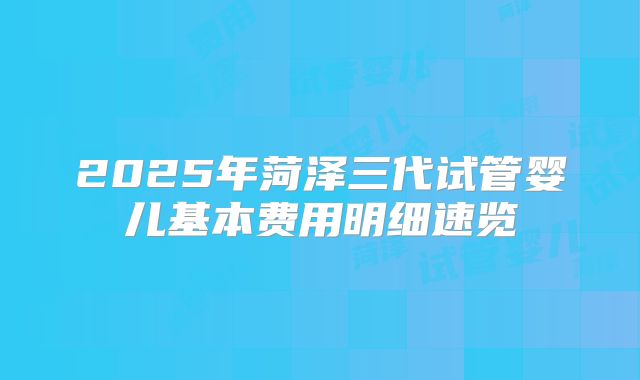 2025年菏泽三代试管婴儿基本费用明细速览