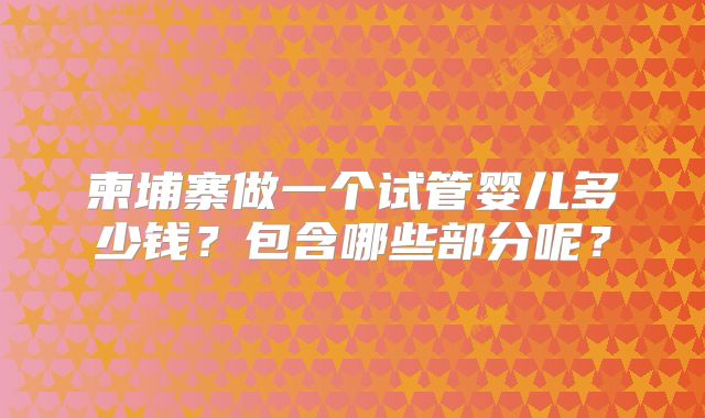 柬埔寨做一个试管婴儿多少钱？包含哪些部分呢？