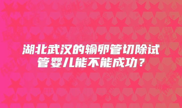 湖北武汉的输卵管切除试管婴儿能不能成功?