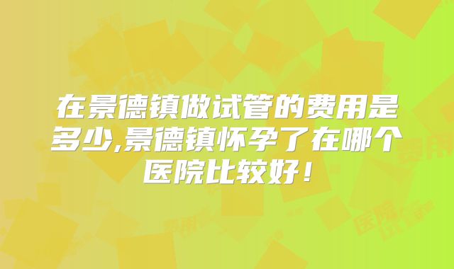 在景德镇做试管的费用是多少,景德镇怀孕了在哪个医院比较好！