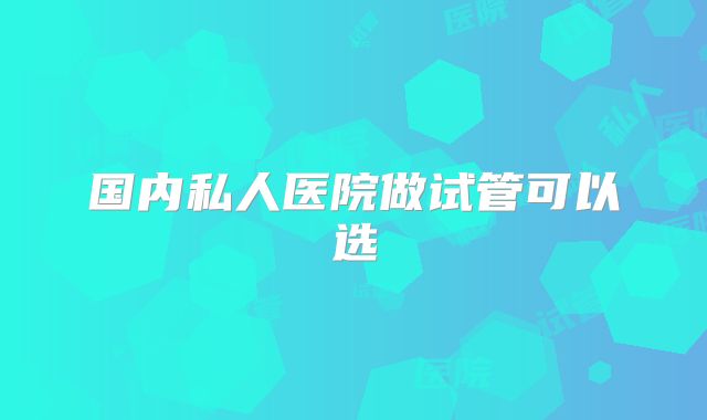 国内私人医院做试管可以选