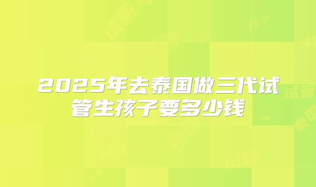 2025年去泰国做三代试管生孩子要多少钱