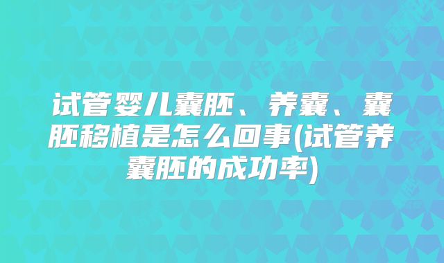 试管婴儿囊胚、养囊、囊胚移植是怎么回事(试管养囊胚的成功率)