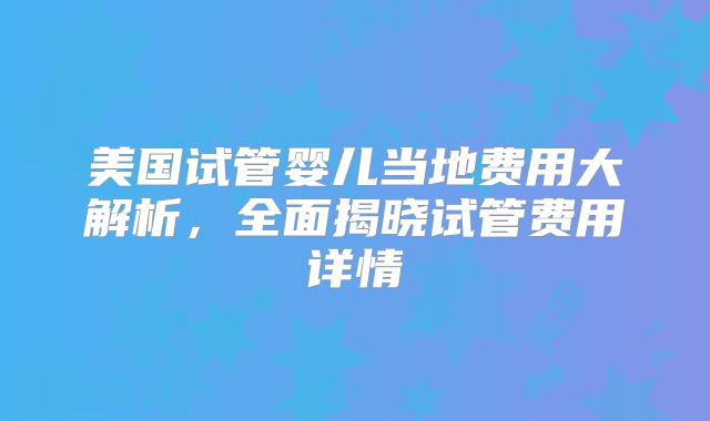 美国试管婴儿当地费用大解析，全面揭晓试管费用详情