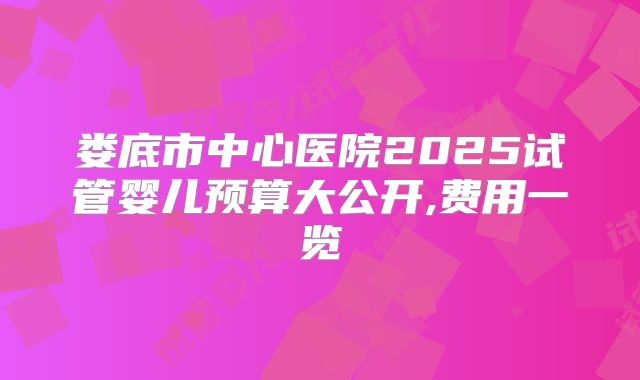 娄底市中心医院2025试管婴儿预算大公开,费用一览