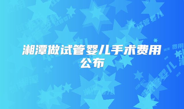 湘潭做试管婴儿手术费用公布