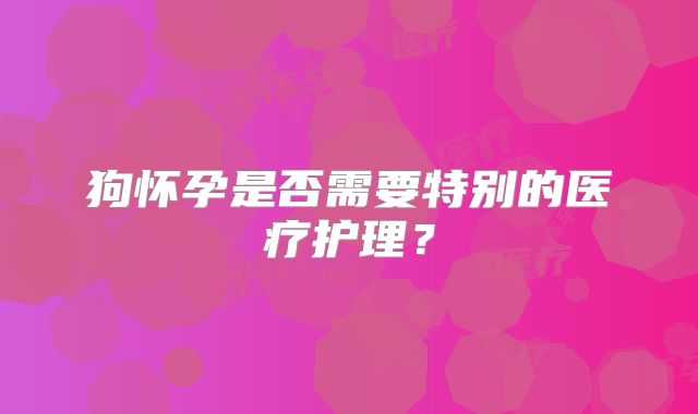 狗怀孕是否需要特别的医疗护理？