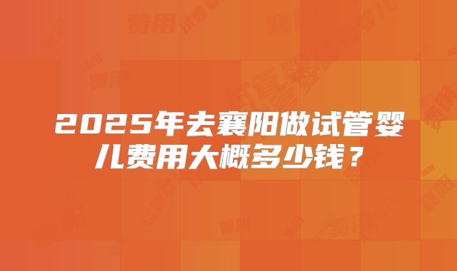 2025年去襄阳做试管婴儿费用大概多少钱？