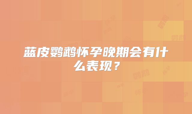 蓝皮鹦鹉怀孕晚期会有什么表现？
