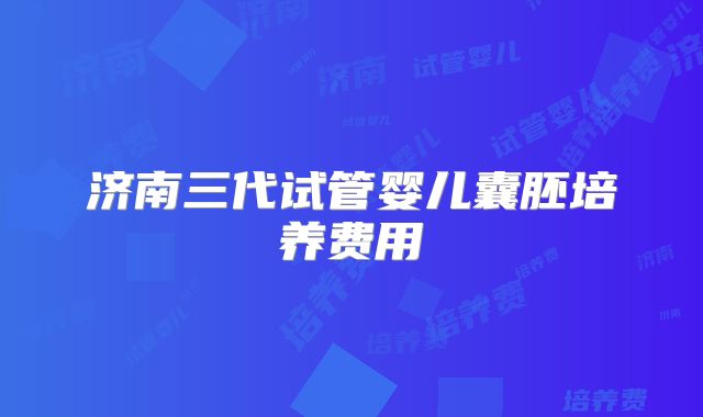 济南三代试管婴儿囊胚培养费用