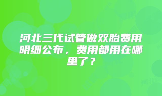 河北三代试管做双胎费用明细公布，费用都用在哪里了？