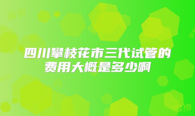 四川攀枝花市三代试管的费用大概是多少啊