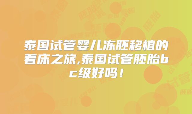 泰国试管婴儿冻胚移植的着床之旅,泰国试管胚胎bc级好吗！