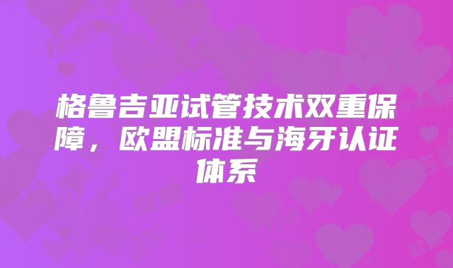格鲁吉亚试管技术双重保障，欧盟标准与海牙认证体系