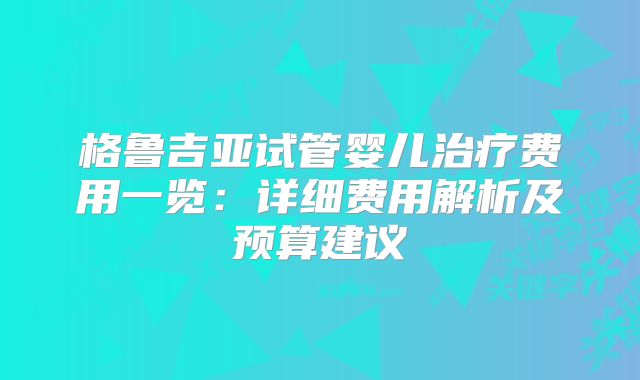 格鲁吉亚试管婴儿治疗费用一览:详细费用解析及预算建议